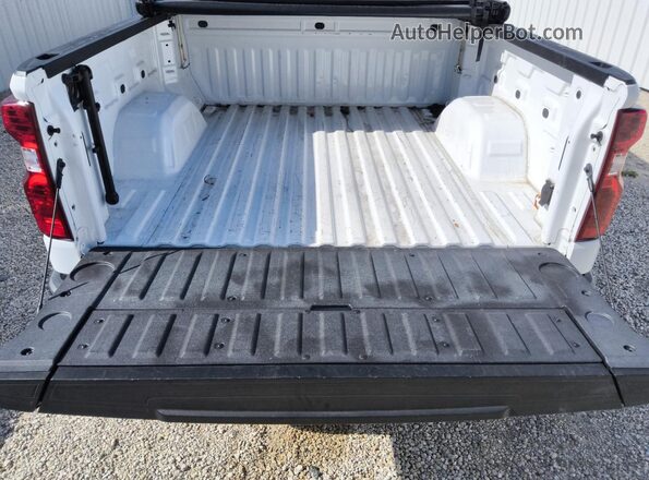 3GCPDCEK4PG204255 2023 CHEVROLET SILVERADO Белый 