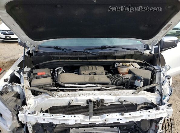 3GCPDKEK5RG427482 2024 CHEVROLET SILVERADO White Սալոնի հետևի տեսք