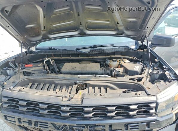 3GCPYCEF8LG186019 2020 CHEVROLET SILVERADO Silver Вид задньої частини салону