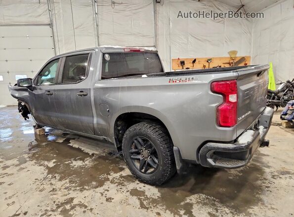 3GCPYCEF8LG250317 2020 CHEVROLET SILVERADO Gray უკანა მარცხენა