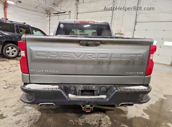 3GCPYCEF8LG250317 2020 CHEVROLET SILVERADO Gray უკანა ხედი