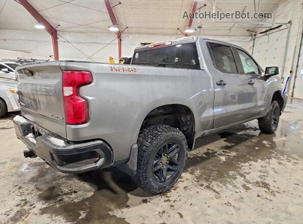 3GCPYCEF8LG250317 2020 CHEVROLET SILVERADO Gray უკანა მარჯვენა