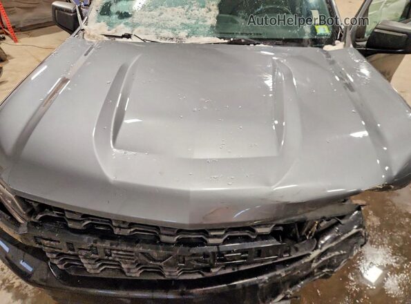 3GCPYCEF8LG250317 2020 CHEVROLET SILVERADO Gray უკანა სალონის ხედი