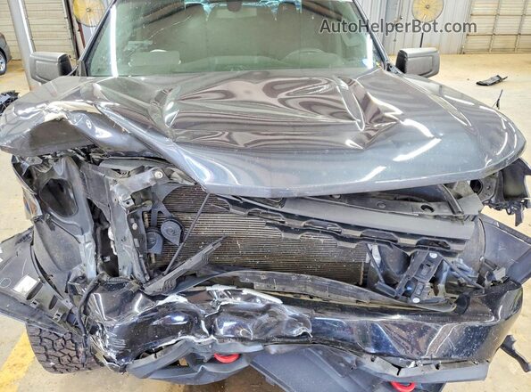 3GCPYCEF9KG150905 2019 CHEVROLET SILVERADO Gray Սալոնի հետևի տեսք