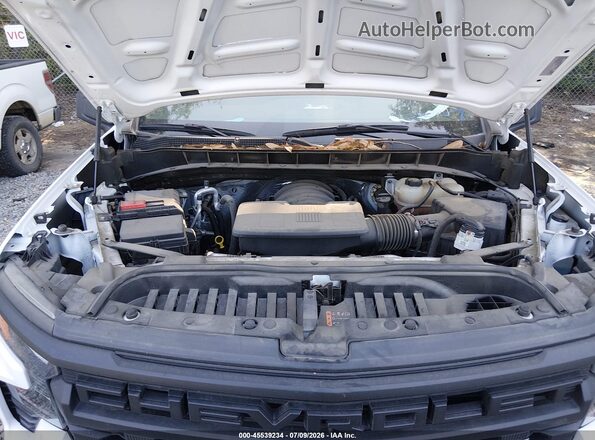 3GCUDAED7RG376033 2024 CHEVROLET SILVERADO White Widok z tyłu