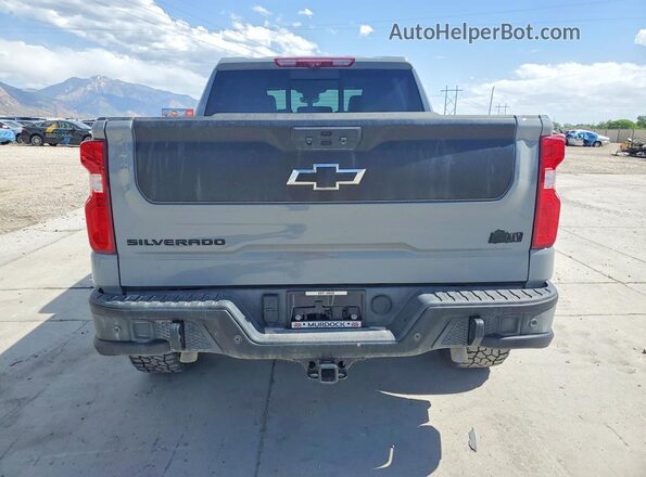 3GCUDHE89RG314533 2024 CHEVROLET SILVERADO Серый Вид сзади