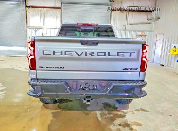 3GCUDHEL2RG137828 2024 CHEVROLET SILVERADO Gray უკანა ხედი
