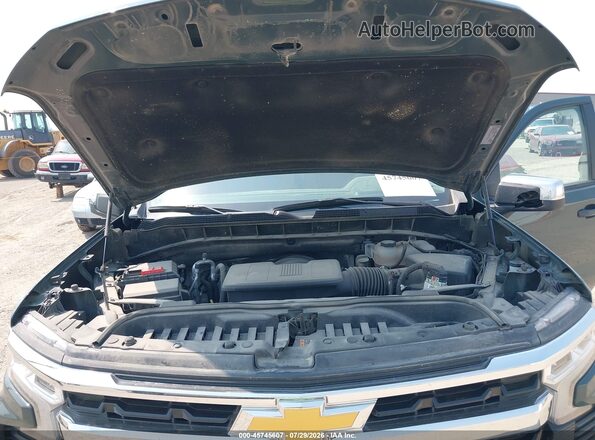 3GCUKDED9SG200596 2025 CHEVROLET SILVERADO Gray უკანა ხედი