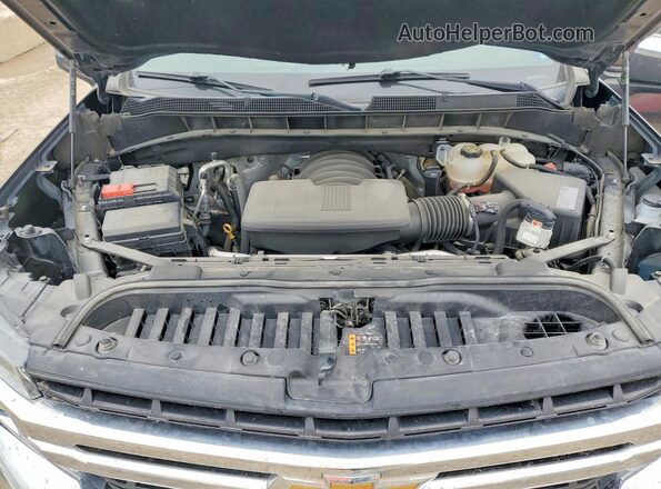 3GCUYDED2LG109279 2020 CHEVROLET SILVERADO Серый Вид задней части салона