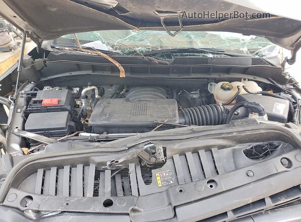 3GCUYEED4MG251074 2021 CHEVROLET SILVERADO Gray Widok wnętrza z tyłu