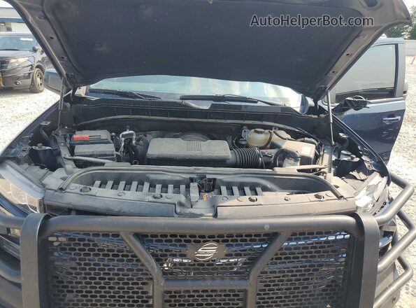 3GCUYEEDXLG345796 2020 CHEVROLET SILVERADO Синий Вид задней части салона