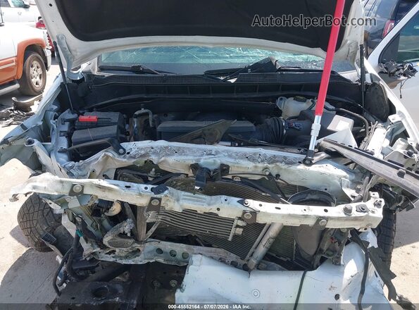 3GCUYHEL6KG304489 2019 CHEVROLET SILVERADO White Widok z tyłu