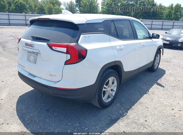 3GKALMEG0RL269872 2024 GMC TERRAIN White Trasero derecho