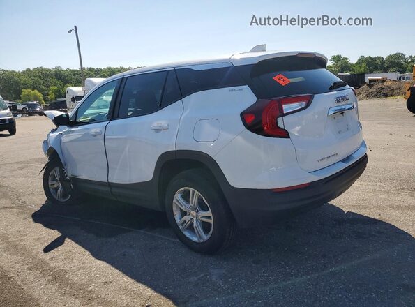 3GKALMEG0RL355781 2024 GMC TERRAIN Белый Задняя левая четверть