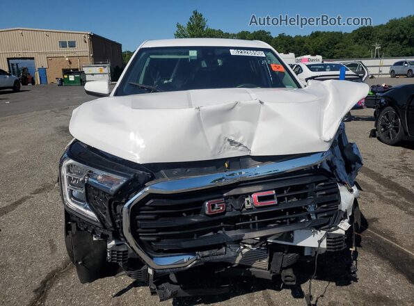 3GKALMEG0RL355781 2024 GMC TERRAIN Белый 