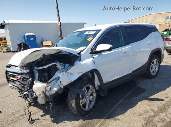 3GKALMEG0RL355781 2024 GMC TERRAIN Белый 