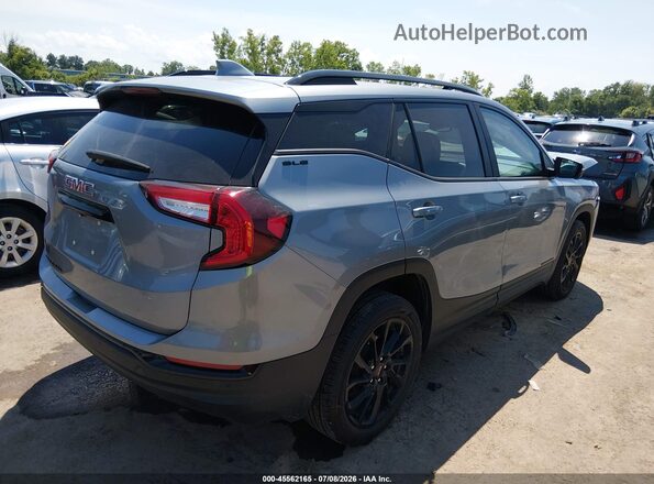 3GKALMEG1RL215710 2024 GMC TERRAIN Gray უკანა მარჯვენა