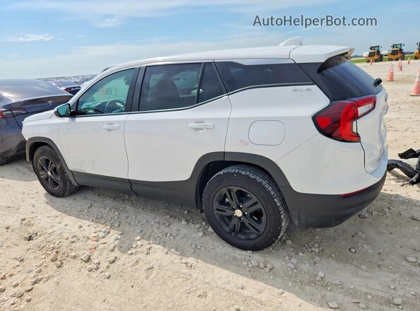 3GKALMEG2RL250482 2024 GMC TERRAIN Белый Задняя левая четверть