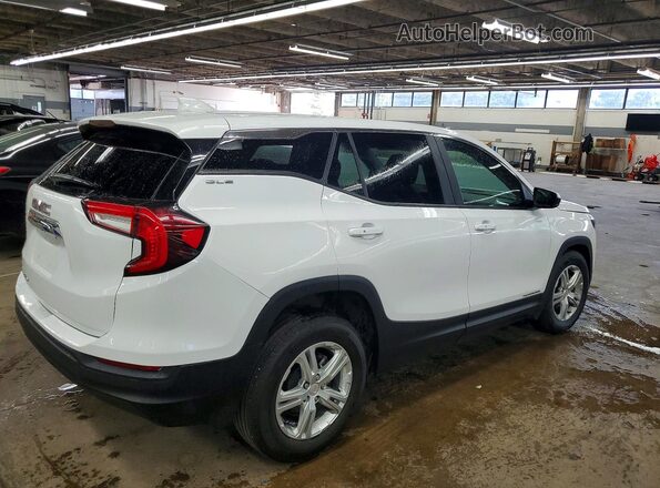 3GKALMEG2RL376213 2024 GMC TERRAIN White Задня права чверть