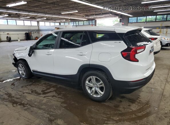 3GKALMEG2RL376213 2024 GMC TERRAIN White 