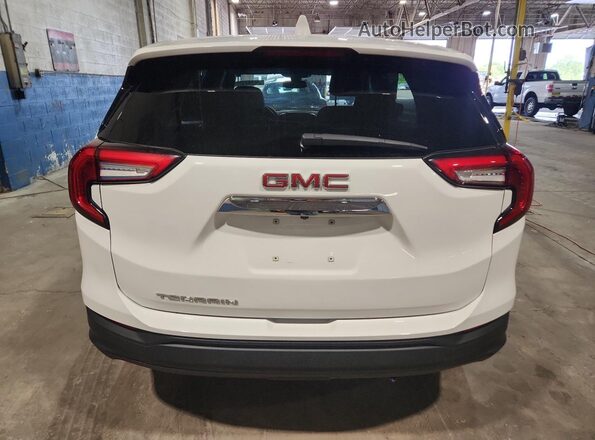 3GKALMEG3RL359775 2024 GMC TERRAIN Белый 