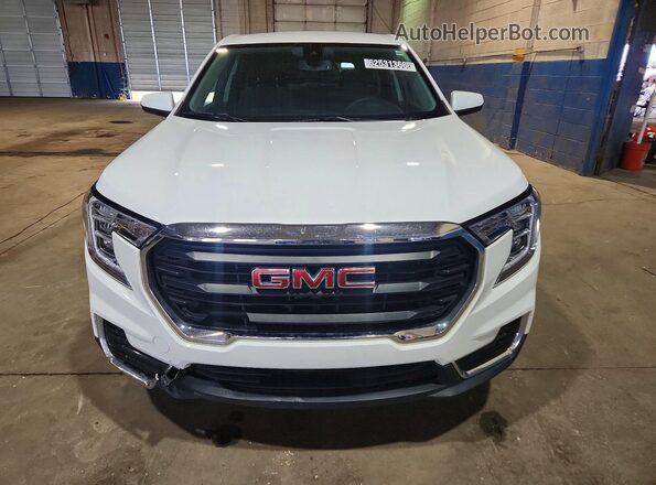 3GKALMEG3RL359775 2024 GMC TERRAIN Белый Вид спереди