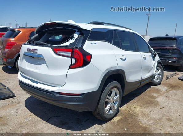 3GKALMEG6RL270332 2024 GMC TERRAIN White Tył prawy