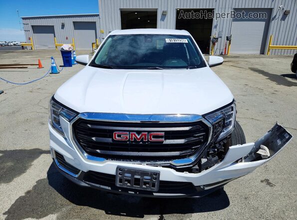 3GKALMEG8RL370755 2024 GMC TERRAIN White Widok z przodu