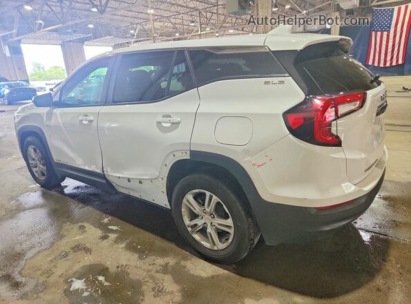 3GKALMEG9RL324125 2024 GMC TERRAIN Белый Задняя левая четверть