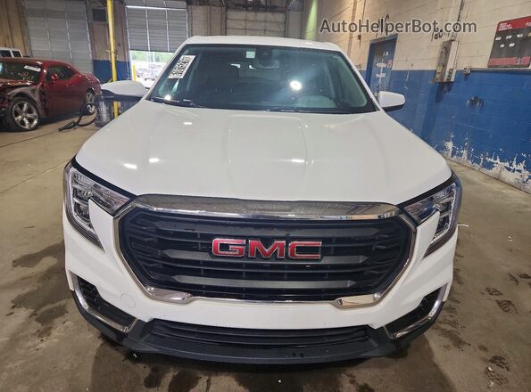 3GKALMEG9RL324125 2024 GMC TERRAIN Белый Вид спереди
