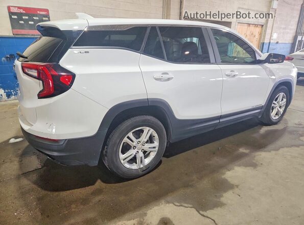 3GKALMEG9RL324125 2024 GMC TERRAIN Белый Задняя правая четверть