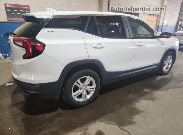 3GKALMEG9RL324125 2024 GMC TERRAIN Белый 