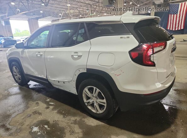 3GKALMEG9RL324125 2024 GMC TERRAIN Белый 