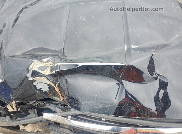 3GKALMEV5LL313502 2020 GMC TERRAIN Black Vista del compartimento del motor
