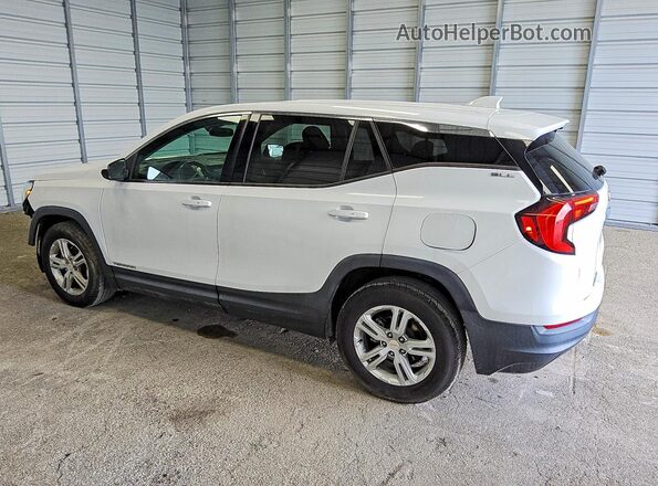 3GKALMEV6LL103653 2020 GMC TERRAIN White Trasero izquierdo
