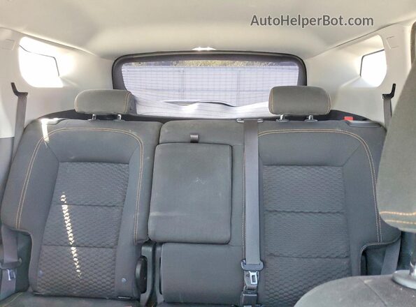 3GKALMEV6LL192141 2020 GMC TERRAIN Blue Widok tylnych siedzeń