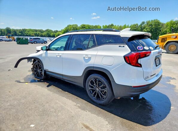 3GKALMEV7LL100986 2020 GMC TERRAIN White Հետևի ձախ