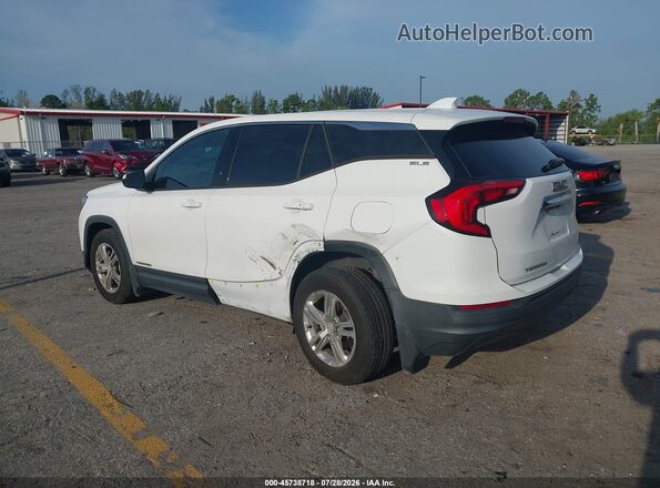 3GKALMEV8LL322436 2020 GMC TERRAIN White Հետևի ձախ