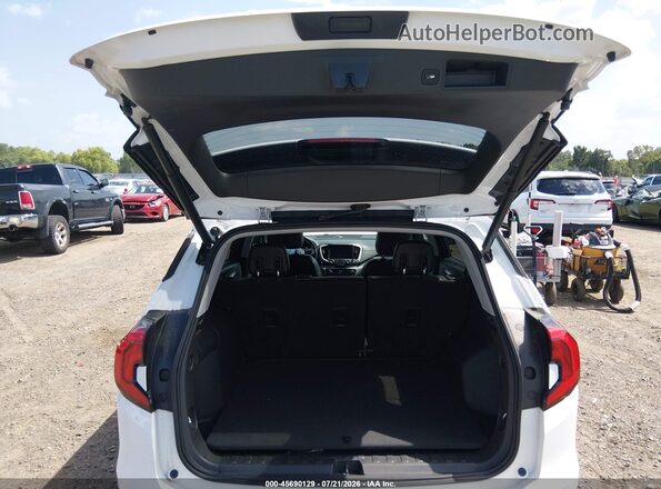 3GKALPEV1LL137131 2020 GMC TERRAIN White 