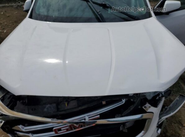 3GKALPEV1LL183770 2020 GMC TERRAIN White Widok komory silnika