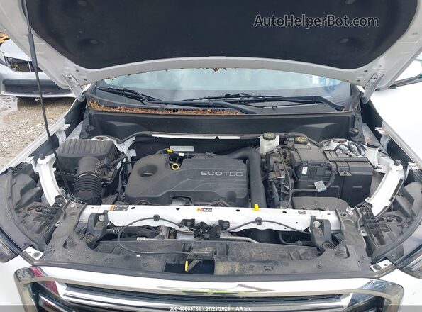 3GKALPEV6ML403244 2021 GMC TERRAIN Белый Вид сзади