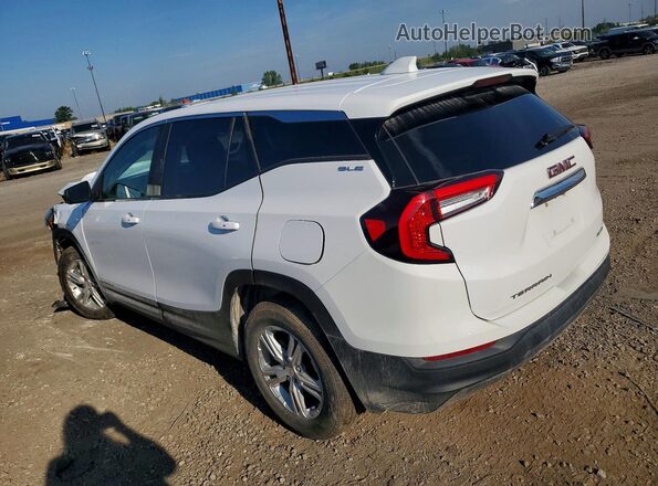 3GKALTEG0RL342409 2024 GMC TERRAIN Белый Задняя левая четверть