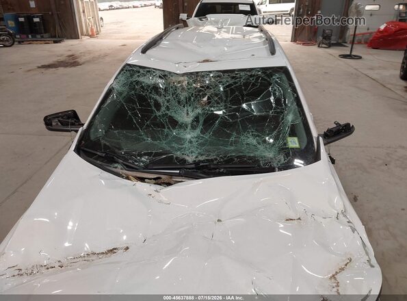 3GKALTEG1RL254582 2024 GMC TERRAIN Белый Вид спереди