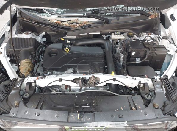 3GKALTEG1RL254582 2024 GMC TERRAIN Белый Вид сзади