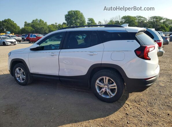 3GKALTEG3PL105815 2023 GMC TERRAIN White Trasero izquierdo