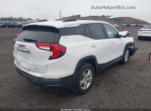 3GKALTEG9PL139189 2023 GMC TERRAIN White Tył prawy