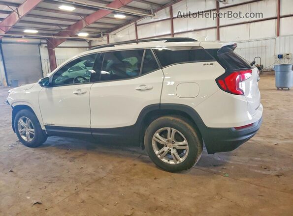 3GKALTEVXLL130106 2020 GMC TERRAIN White Задня ліва чверть