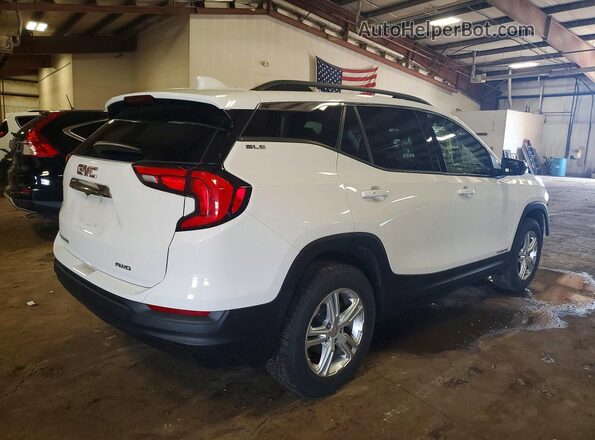 3GKALTEVXLL130106 2020 GMC TERRAIN White Задня права чверть