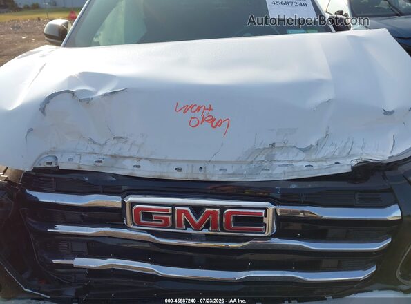 3GKALUEG0SL206227 2025 GMC TERRAIN Белый Вид сзади