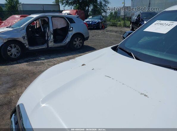 3GKALUEG0SL287553 2025 GMC TERRAIN White 
